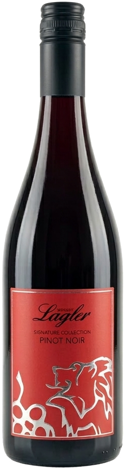 Pinot Noir 2022